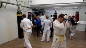 12509412_930849180326290_9216288605511176626_n