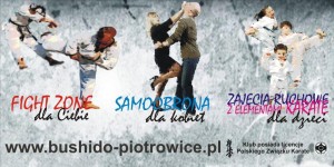 baner-bushido