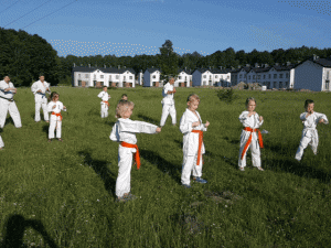 18983012_10203541493655268_1352865982_n