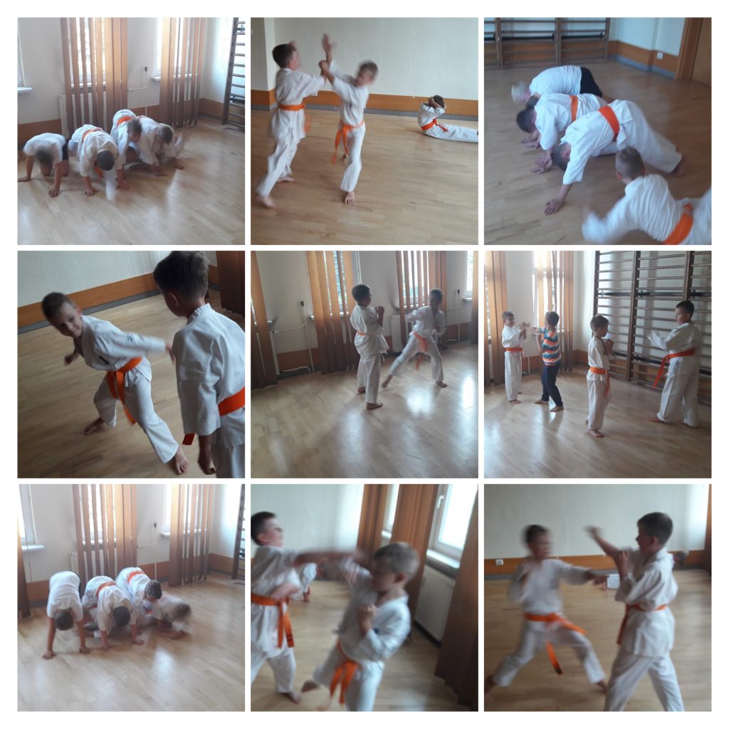 20180903_163423-COLLAGE