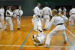 504722280_23933128162973924_380019112286020316_n