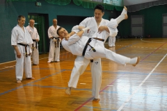 505197620_23932924576327616_1504886682522341090_n