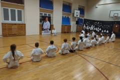 IMG_20241219_170223751