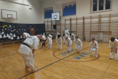 IMG_20241219_172446414