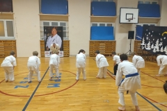 IMG_20241219_172503531