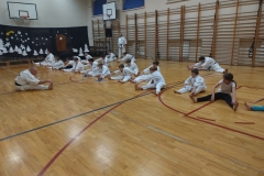 IMG_20241219_172907782