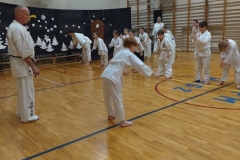 IMG_20241219_173208625