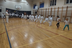 IMG_20241219_174136141