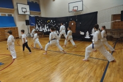 IMG_20241219_174246331