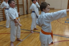 IMG_20241219_175357869