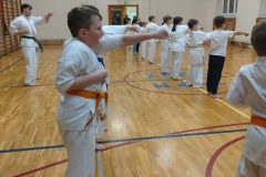 IMG_20241219_175403424