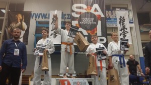 Sari Cup Żory 28.11.2015 Żory