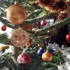 413795186_1109188426767247_5312979977648080284_n