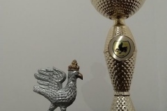 IMG_20251023_170216498