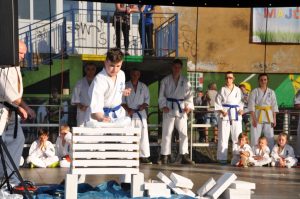 Szaferowa Majówka Pokaz Karate