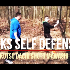 kokutsu dachi