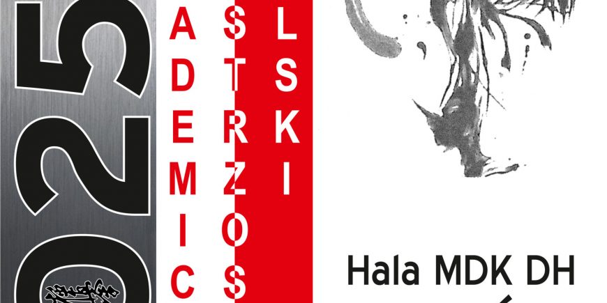Plakat-AMP-2025v1-scaled